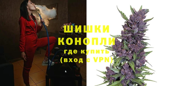 стафф Богданович