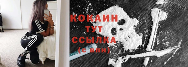 ешки Бронницы