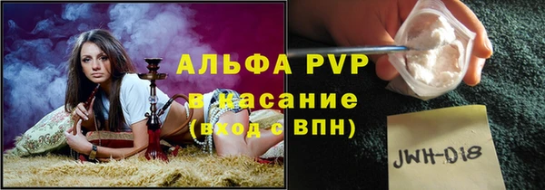 стафф Богданович
