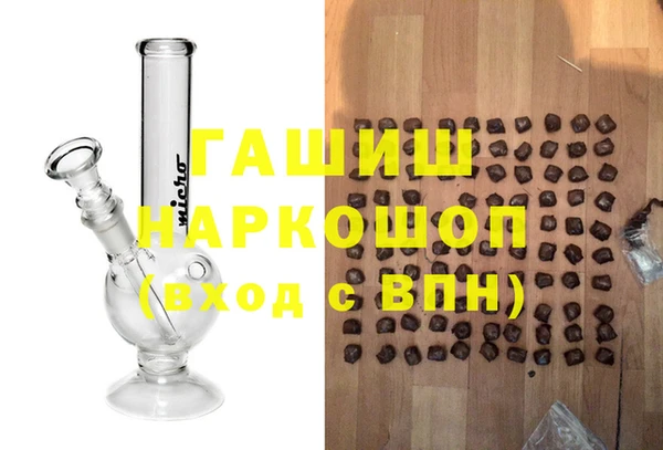 гашик Козельск